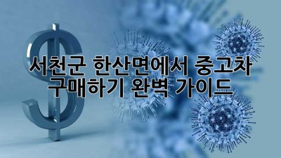 서천군 한산면에서 중고차 구매하기: 완벽 가이드